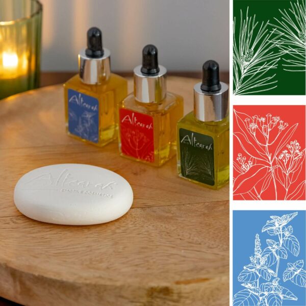 Diffusionsboks