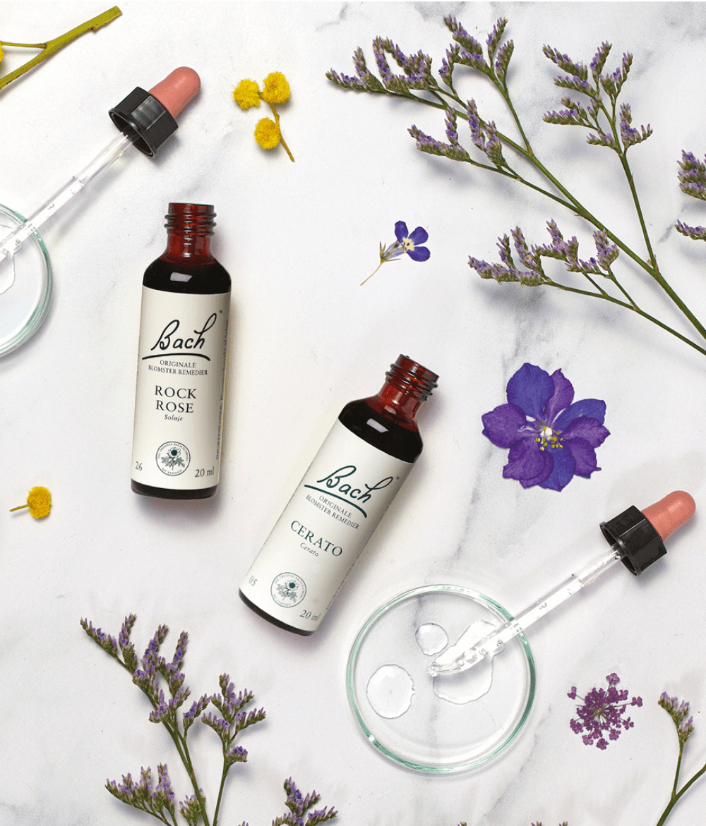 Bachs blomstermedicin Bachs blomstermedicin